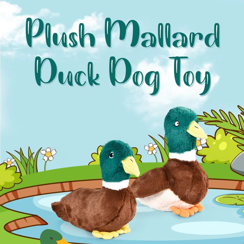 Manufacturer Wholesale Custom Plush Duck Dog Toy – Squeaker, Crinkle Paper