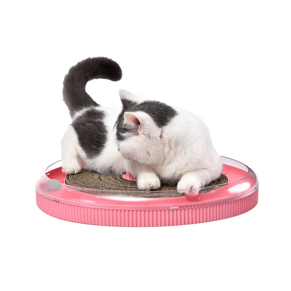 Custom 4-in-1 Cat Toy – Interactive Circular Track, Scratcher (Replaceable Board)