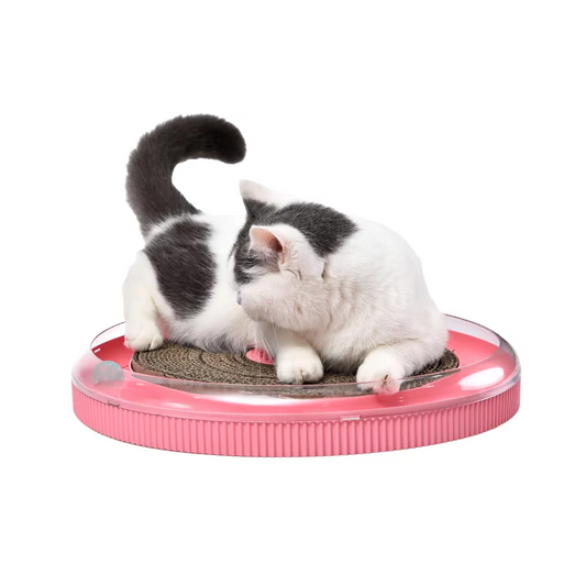 Custom 4-in-1 Cat Toy – Interactive Circular Track, Scratcher (Replaceable Board)