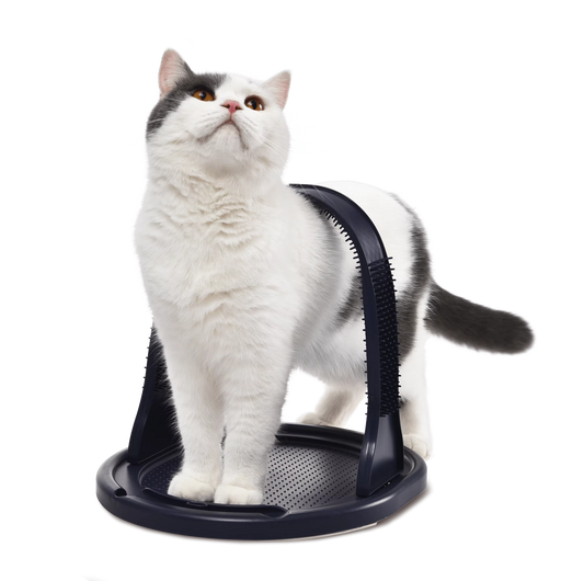 Cat Arch Self Groomer – Massage Arch, Pet Arch Brush, Plastic Groomer (Kitten Scratcher, Rubbing Device)