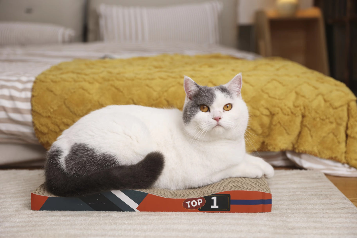 Eco-Friendly Cardboard Cat Scratcher – Sturdy, Durable, Speed-Themed (Lounge Pad, Grip Toy)