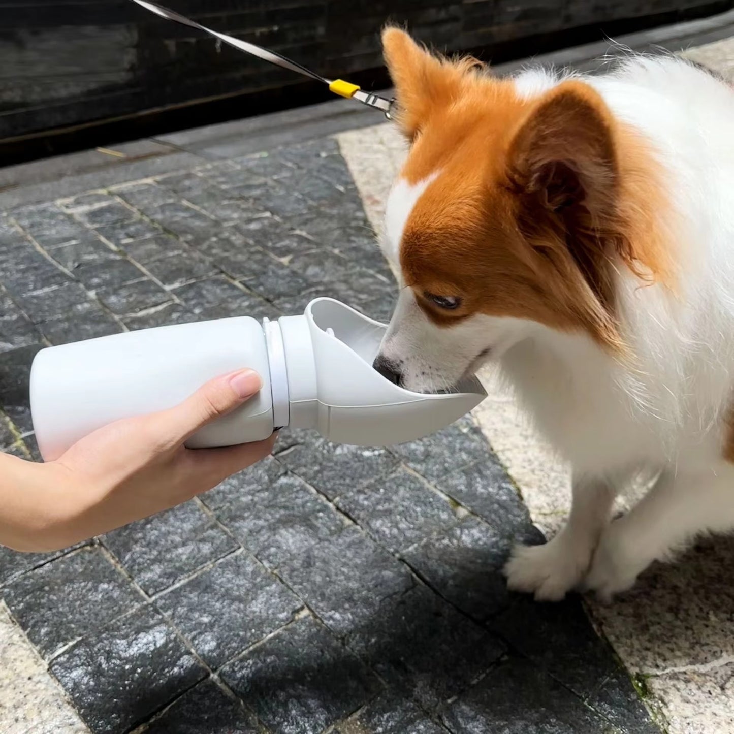 Custom Silicone Dog Water Dispenser – Portable, Lightweight, Foldable (Outdoor, Travel) | OEM & ODM