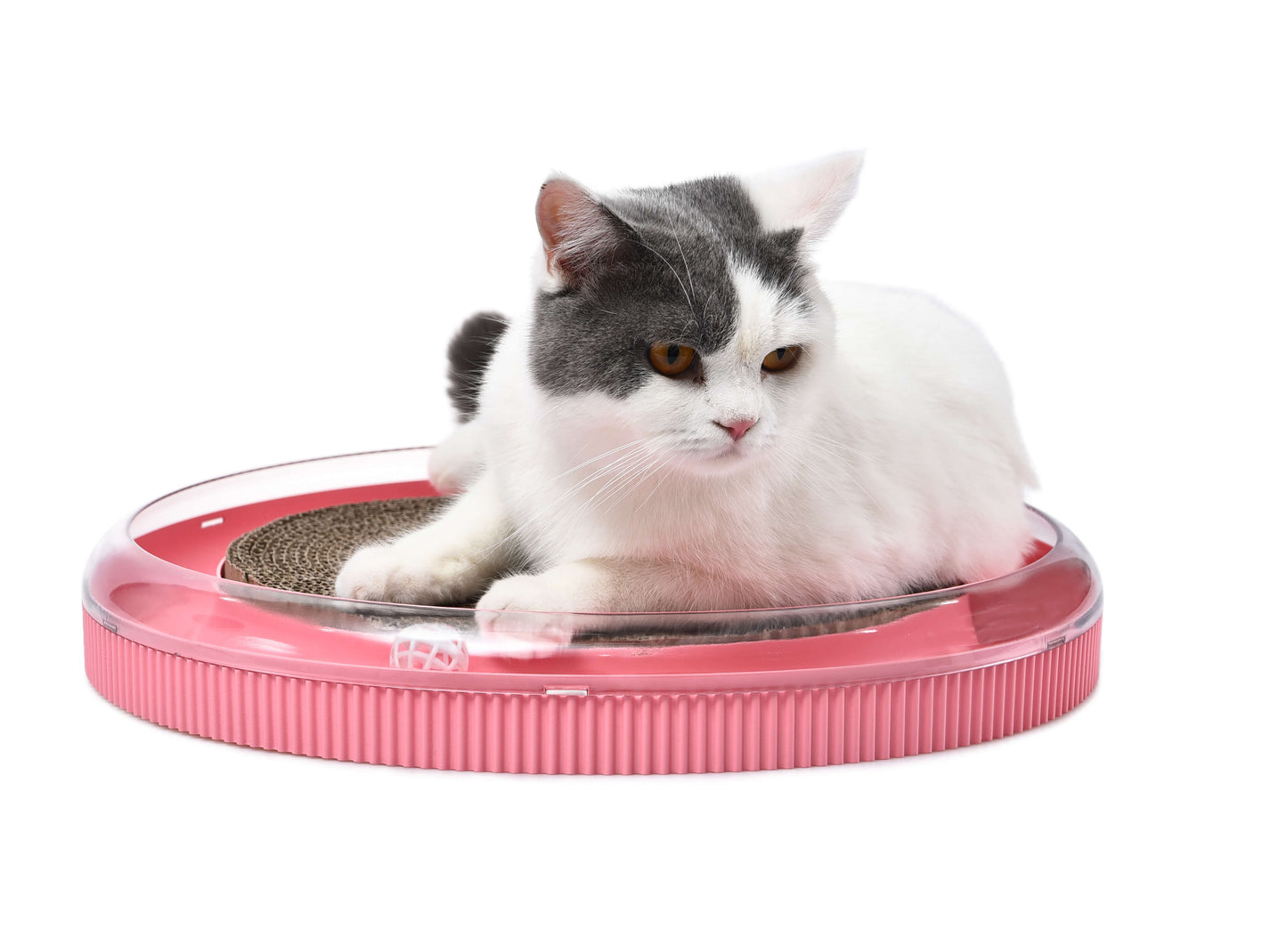 Interactive Cat Toy – Turbo Track Ball, Scratcher (with Turbo & Ball)