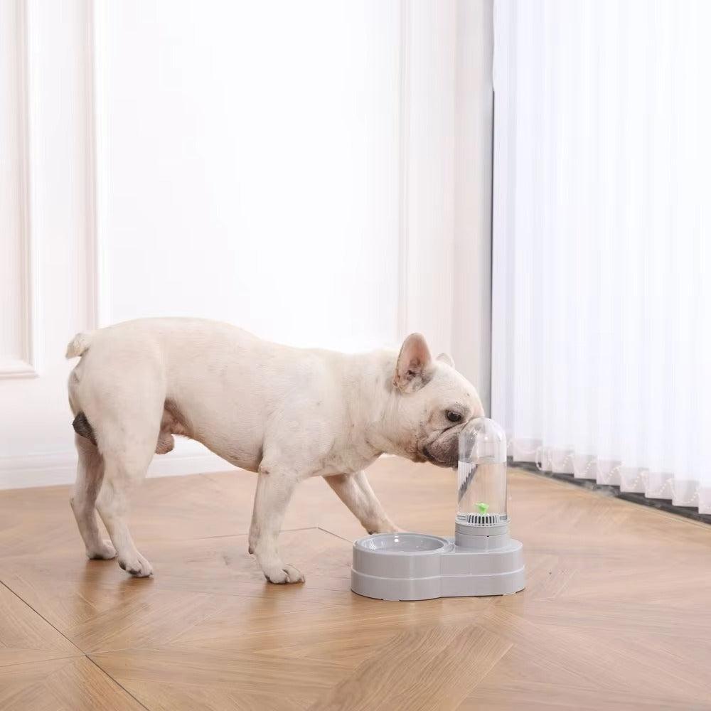 Wholesale Pet Bowls & Feeders – Non-Toxic, Water Dispenser (for Dogs & Cats)