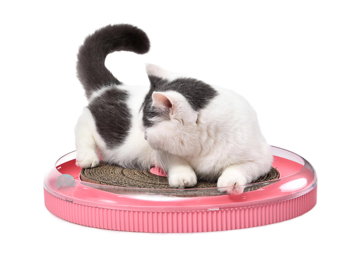 Interactive Cat Toy – Turbo Track Ball, Scratcher (with Turbo & Ball)
