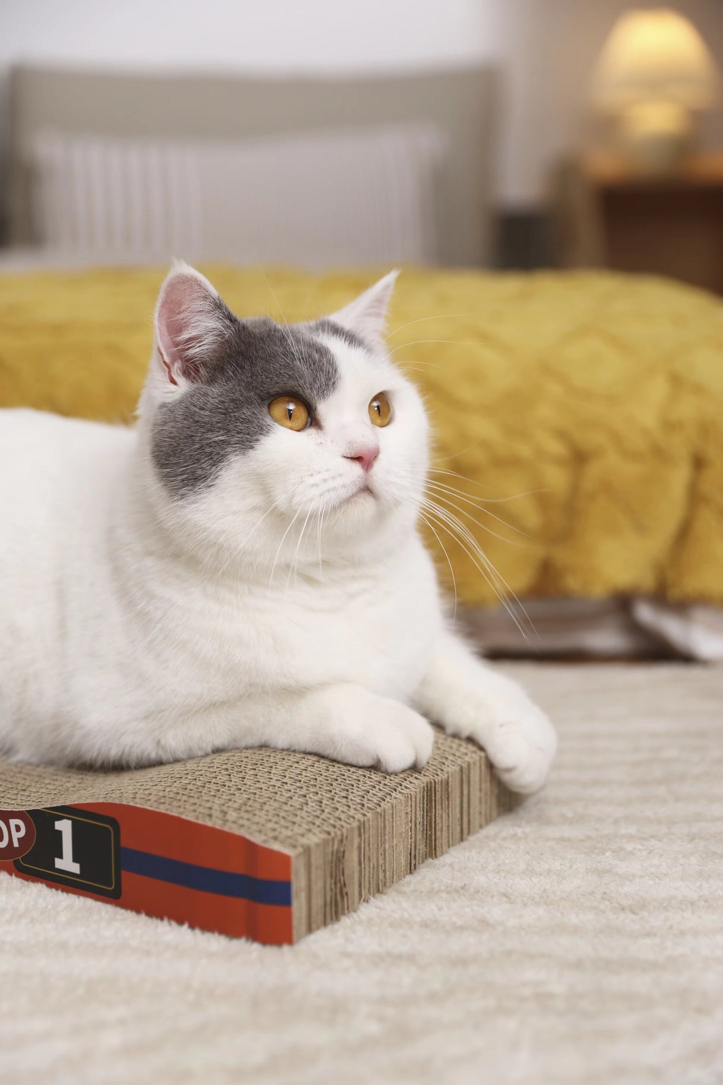 Eco-Friendly Cardboard Cat Scratcher – Sturdy, Durable, Speed-Themed (Lounge Pad, Grip Toy)