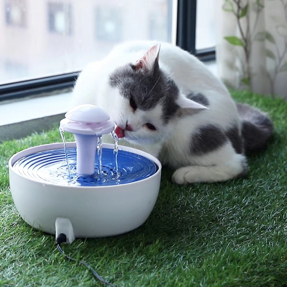 New Design Cat Pet Water Fountain – Healthy, Fresh (With Filter)