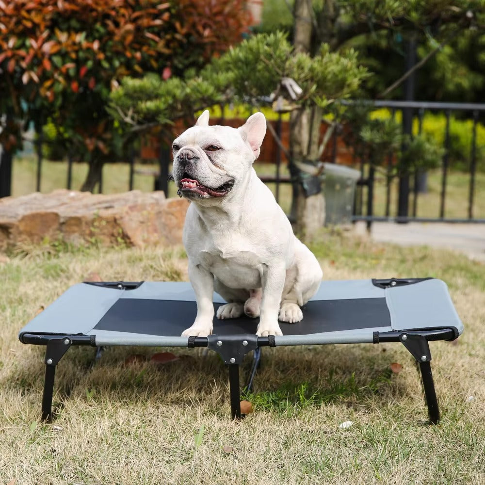 New Arrival Elevated Pet Bed – Cooling, Breathable, Foldable, Portable (Outdoor, Waterproof, for Dogs)